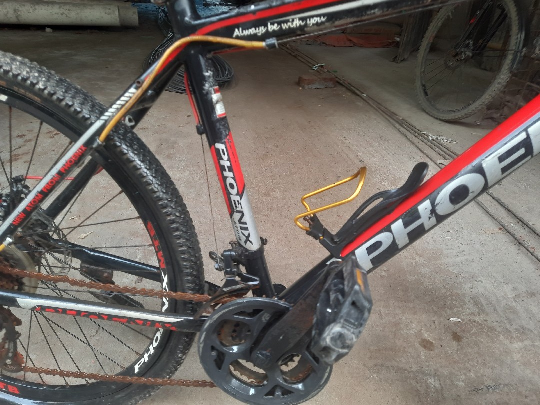 PHONIX CYCLE
